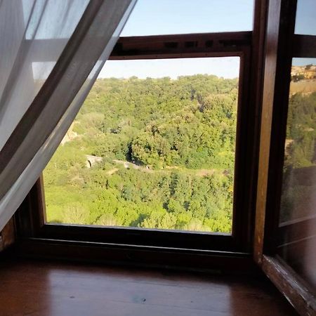 Vista Sulla Vallata Pitigliano Zewnętrze zdjęcie